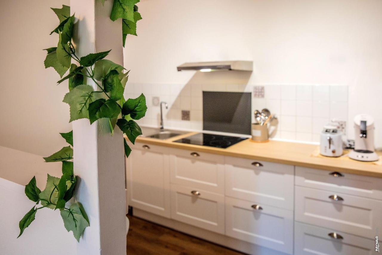 Appartement Tout Confort - Hypercentre - 58M2 - Gaillac Eksteriør billede