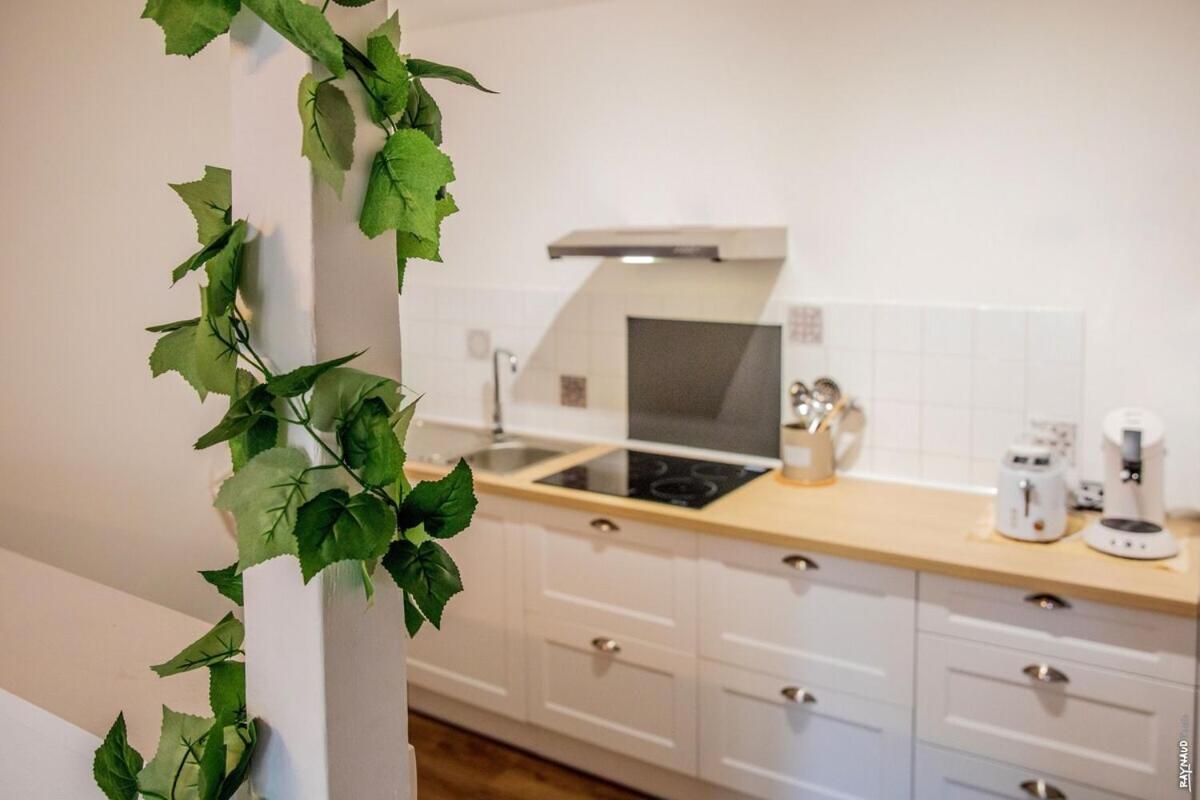 Appartement Tout Confort - Hypercentre - 58M2 - Gaillac Eksteriør billede